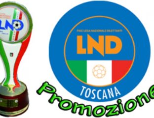 Coppa Italia Promozione