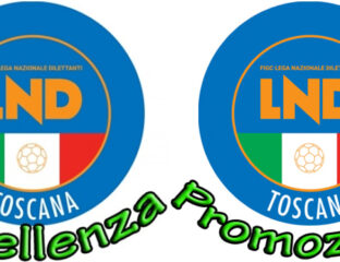 Eccellenza Promozione